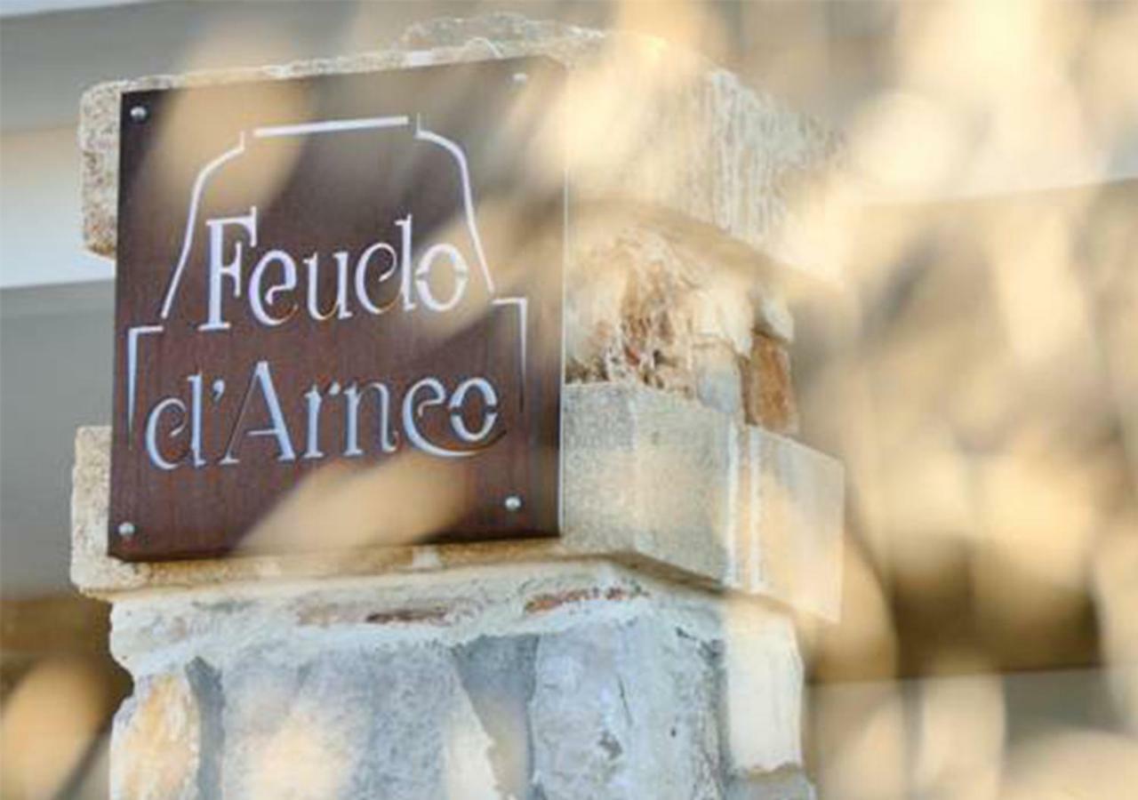 Feudo D'Arneo Ξενοδοχείο Torre Lapillo Εξωτερικό φωτογραφία